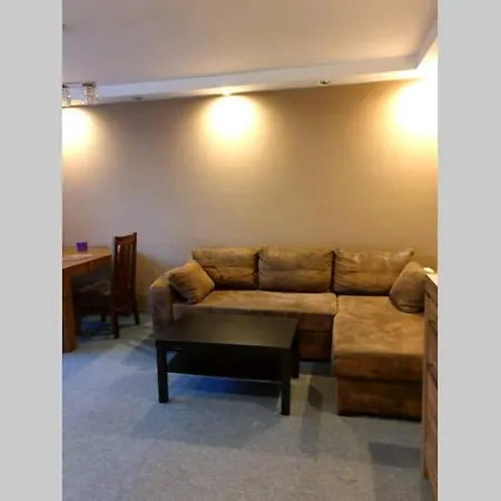 Silent Apartment No Parties Allowed Апартаменты Катовице
