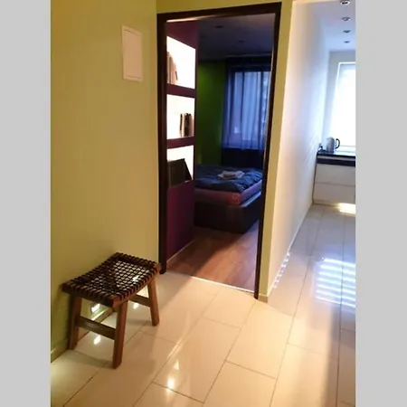 Silent Apartment No Parties Allowed Апартаменты Катовице